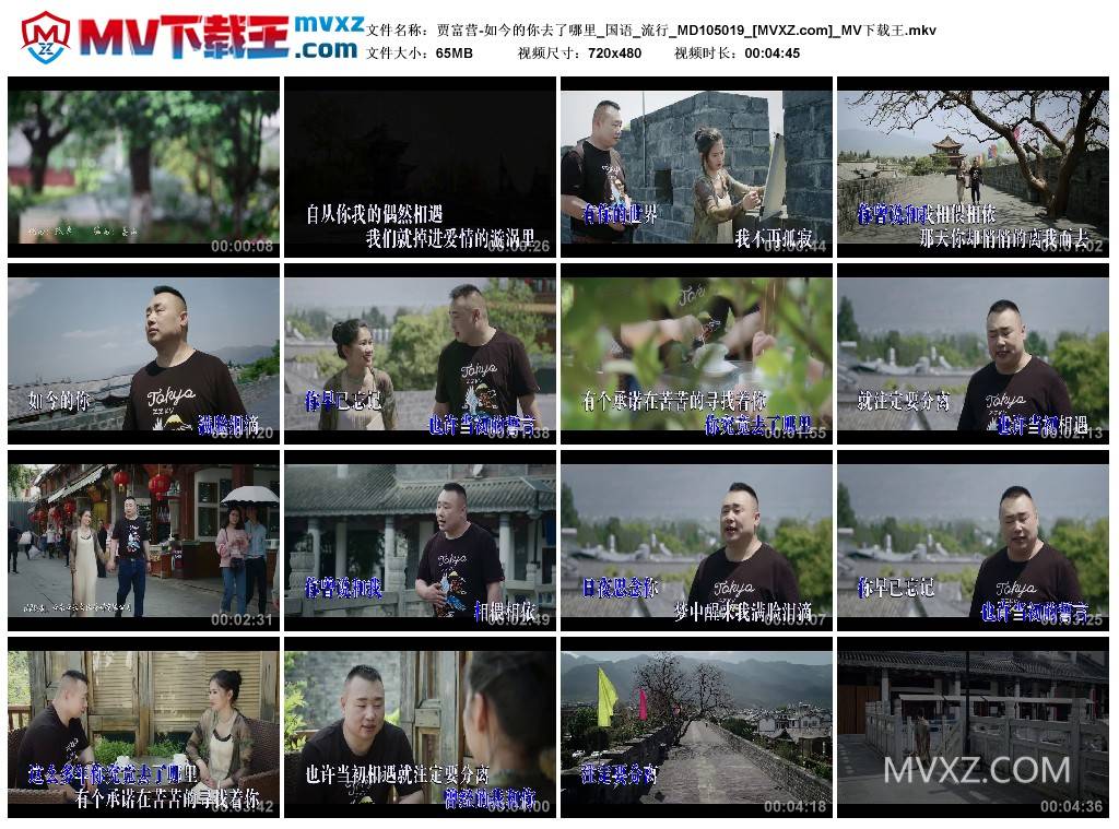 贾富营-如今的你去了哪里_国语_流行_MD105019